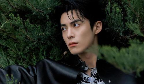 王鹤棣站姐爆料最新