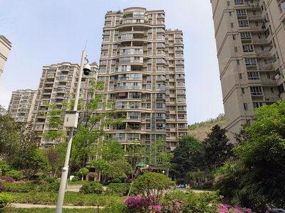 碧桂园爆料最新消息德阳,揭秘项目进展与未来规划